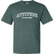 ATTITUDE IS EVERYTHING T-SHIRT